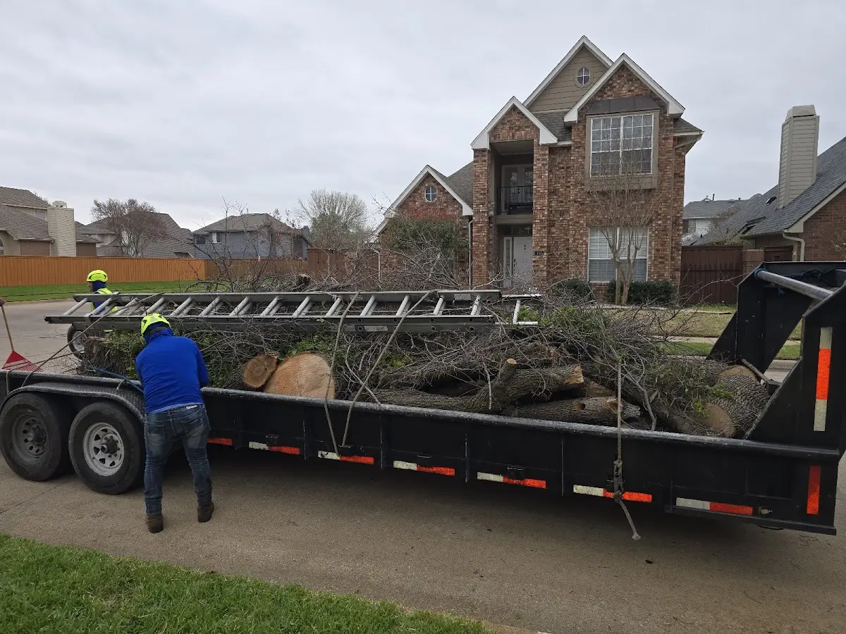 Expert Tree Pest Control with proper safety equipment in Princeton